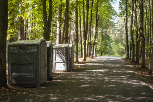 Best Tree Removal  in USA